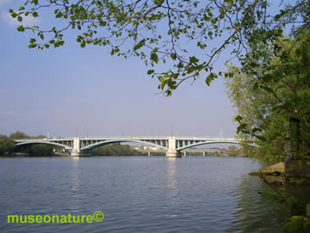 Argenteuil et la Seine