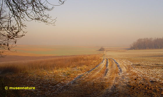 hiver au valhermeil, auvers sur oise