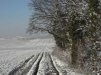 La plaine d'Auvers sur Oise, paysage d'hiver