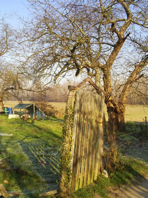 Un jardin à auvers